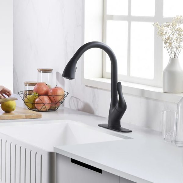 Anzzi Accent Single-Handle Matte Black Pull-Down Sprayer Kitchen Faucet KF-AZ031MK